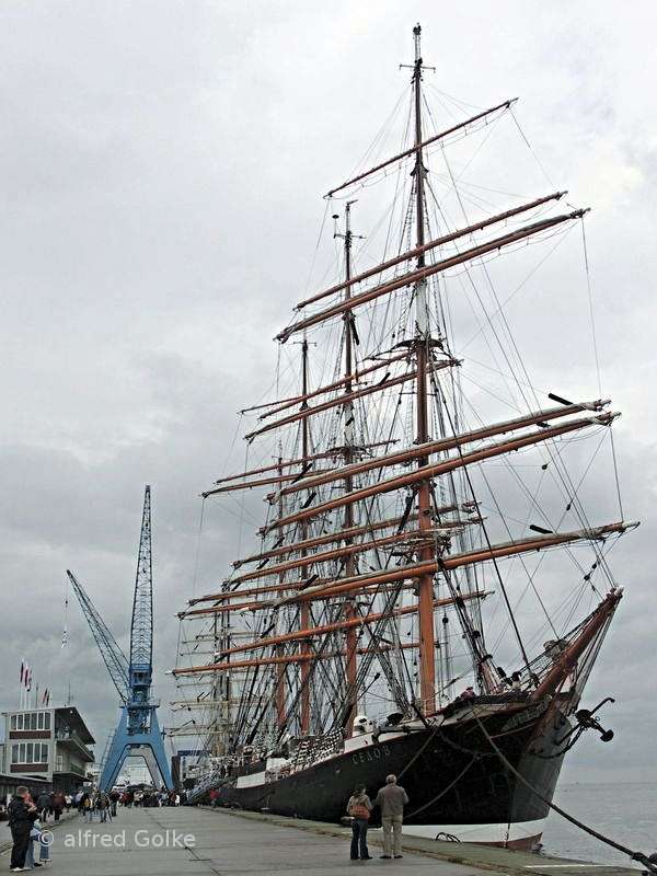 sedov